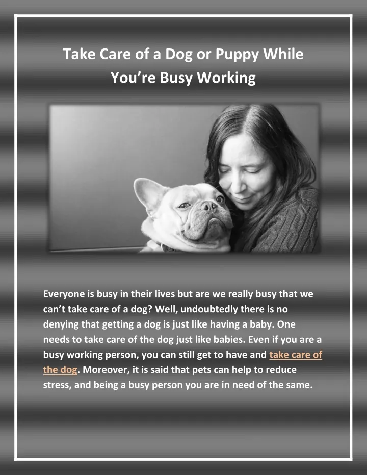 take care of a dog or puppy while you re busy