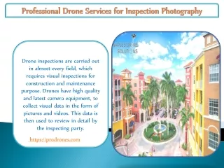 Professional Drone Services for Inspection Photography