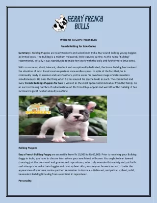 French Bulldog for Sale Online