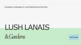 Professional Landscape Design Services in Florida | lushlanais