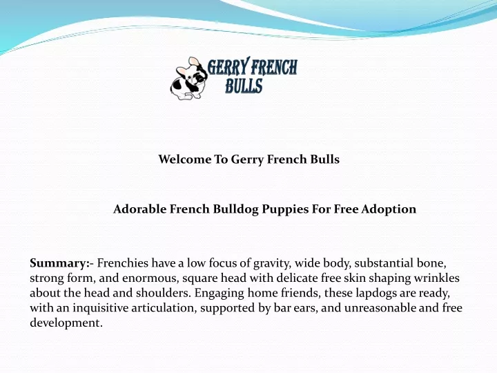 welcome to gerry french bulls