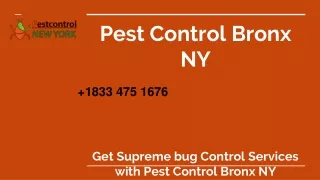 Pest Control Bronx NY