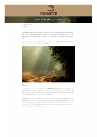 what is the best time to visit tadoba