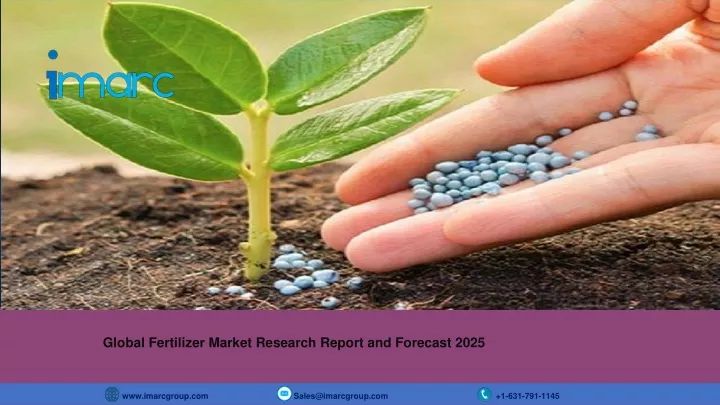 global fertilizer market research report