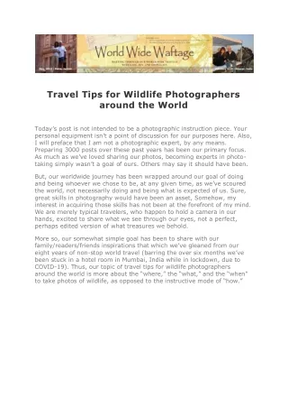 Travel Tips for Wildlife Photographers around the World