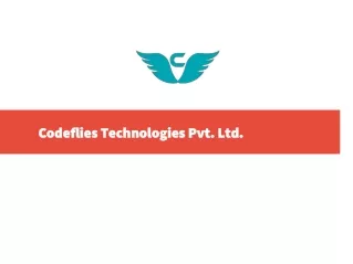 Codeflies Technologies Pvt. Ltd.