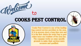 Hire Cooks Pest control to remove pests permanently