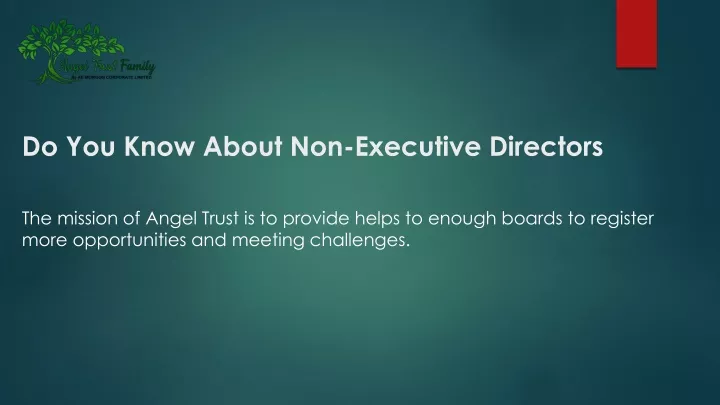 do you know about non executive directors