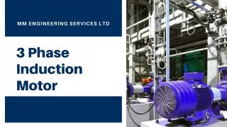 3 Phase Induction Motor Online with Best Prices | MM Engineering Services Ltd