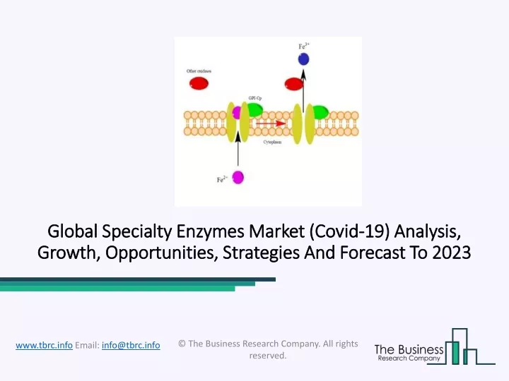 global global specialty enzymes market specialty