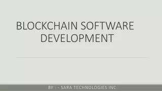 blockchain software development