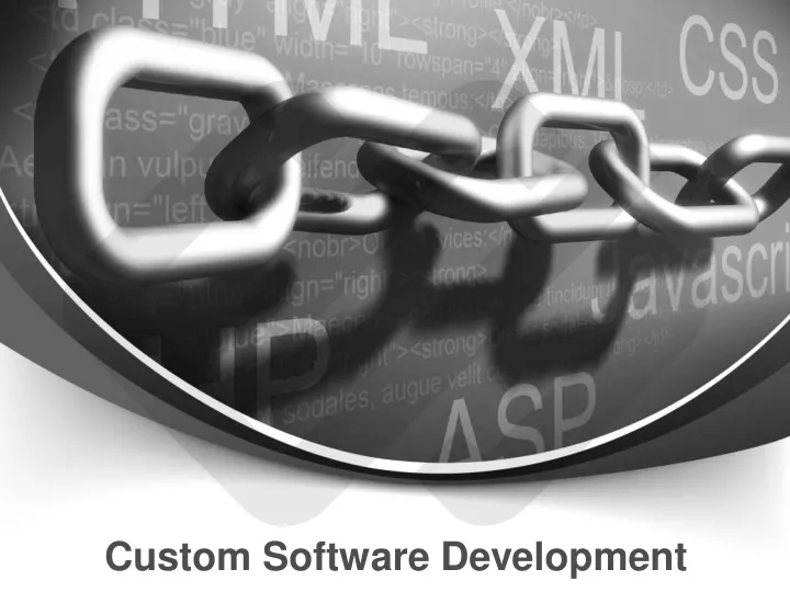 custom software development