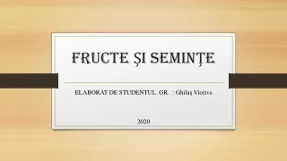 fructe i semin e