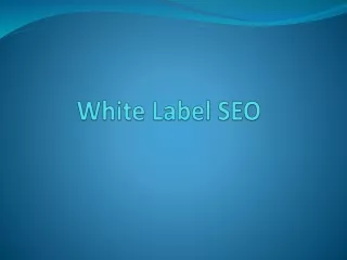 White Label SEO