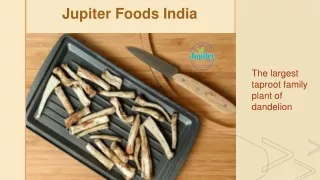 Jupiter – Manufacturers of Liquid Chicory Extract in India