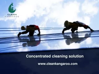 concentrated cleaning solution