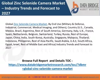 Global Zinc Selenide Camera Market Industry Analysis and Detailed Profiles of top Industry Players
