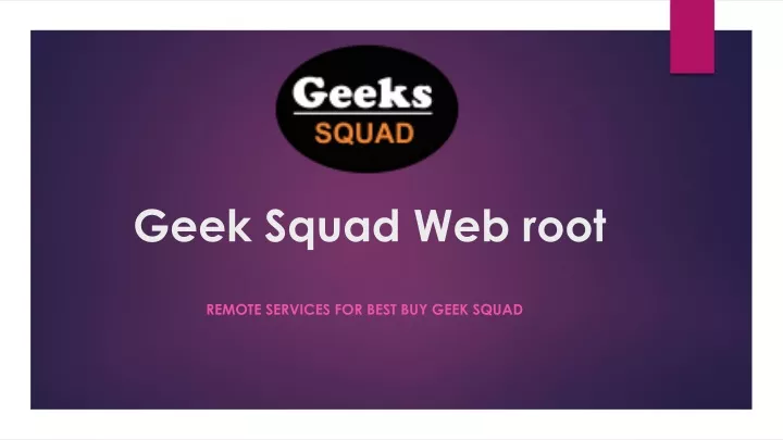 geek squad web root
