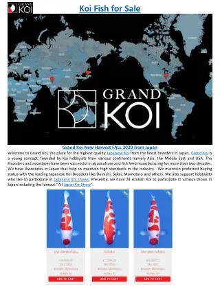 koi fish for sale