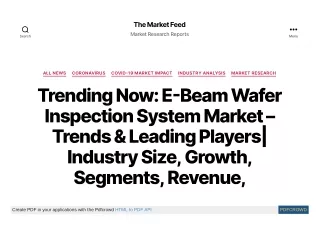 E-Beam Wafer Inspection System Market