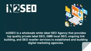 in2seo is a wholesale white label seo agency that
