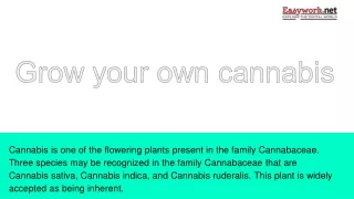 Grow your own cannabis