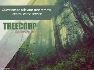 Questions to ask your tree removal central coast service