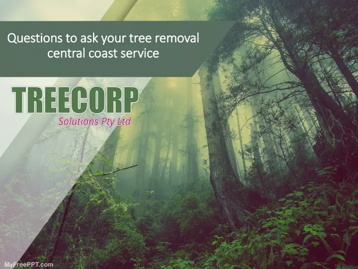 questions to ask your tree removal central coast service
