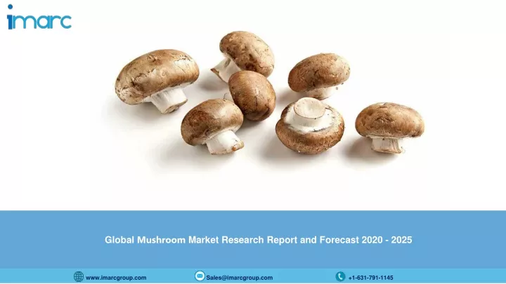 global mushroom market research report