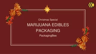 christmas special
