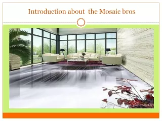 Introduction about  the Mosaic bros
