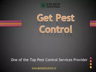 Top Pest control Services in Delhi