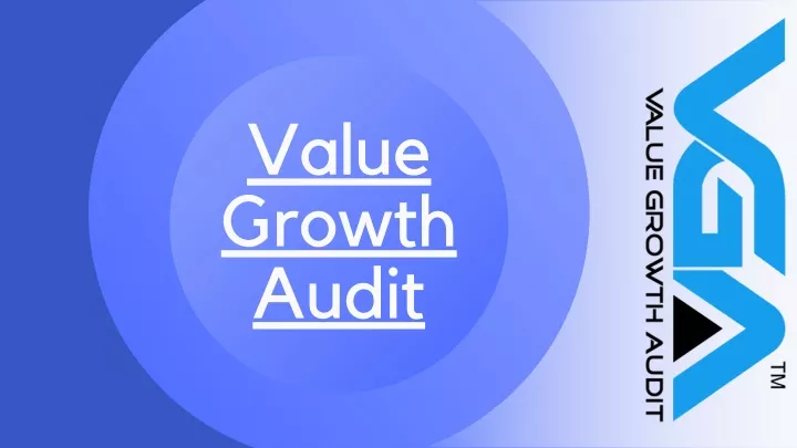 value growth audit