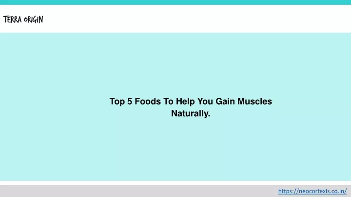 top 5 foods to help you gain muscles naturally