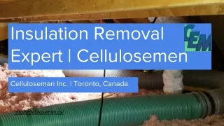 Insulation Removal Expert | Toronto, ON, Canada.