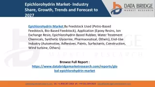 Epichlorohydrin Market