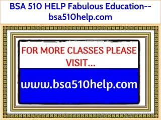 BSA 510 HELP Fabulous Teaching--bsa510help.com