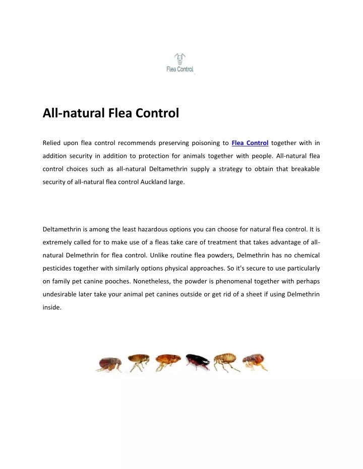 all natural flea control
