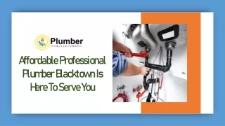 Affordable Professional Plumber Blacktown Is Here To Serve You