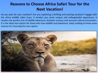Reasons to Choose Africa Safari Tour for the Next Vacation!