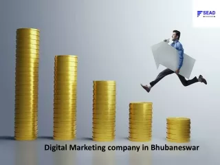 Digital Marketing Company in Bhubaneswar||Sead Technologies