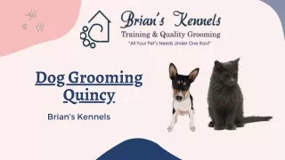 Dog Grooming Quincy Services- Brian's Kennels