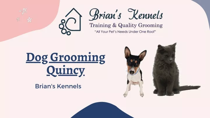 dog grooming quincy