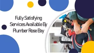 Fully Satisfying Services Available By Plumber Rose Bay