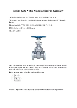 Steam Gate Valve Manufacturer in Germany