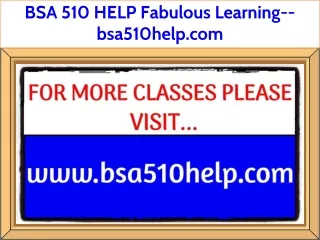 BSA 510 HELP Fabulous Learning--bsa510help.com