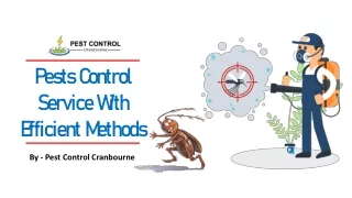 Pest Control Service With Efficient Methods -  Pest Control Cranbourne