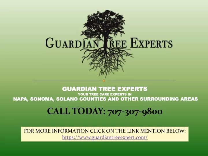guardian tree experts your tree care experts