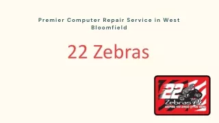 22 Zebras | Premier Computer Repair Service in West Bloomfield