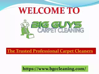 Best Professional Carpet Cleaning in New Jersey